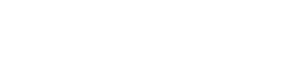 Partner 1